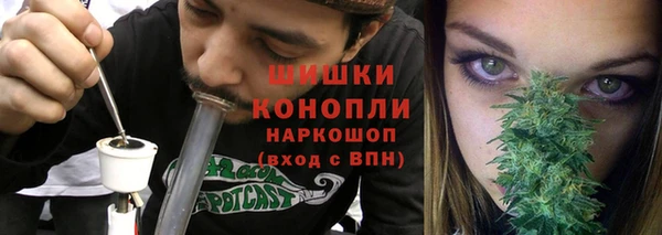 ГАЛЛЮЦИНОГЕННЫЕ ГРИБЫ Балабаново