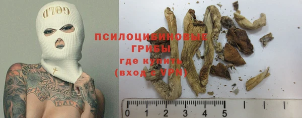 дмт Балахна